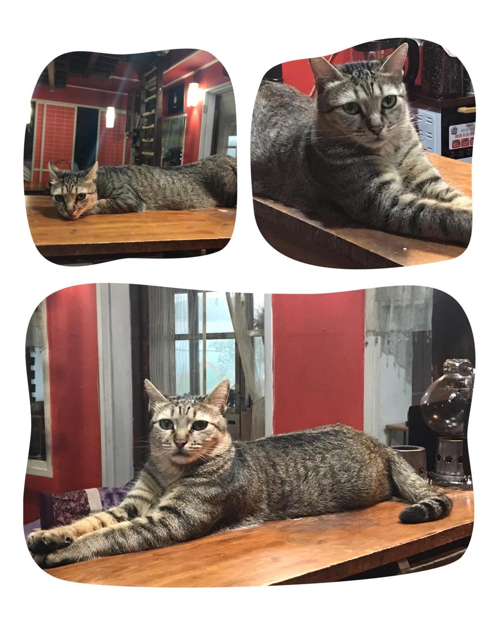 A-Home Jiufen Luaran gambar